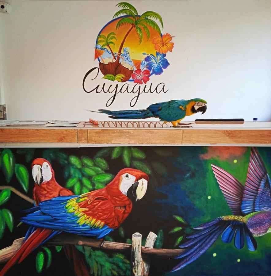 بالومينو Hostal Cuyagua المظهر الخارجي الصورة