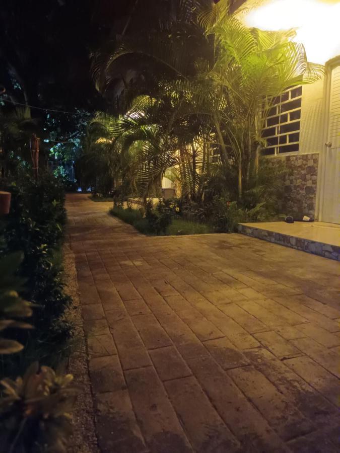 بالومينو Hostal Cuyagua المظهر الخارجي الصورة